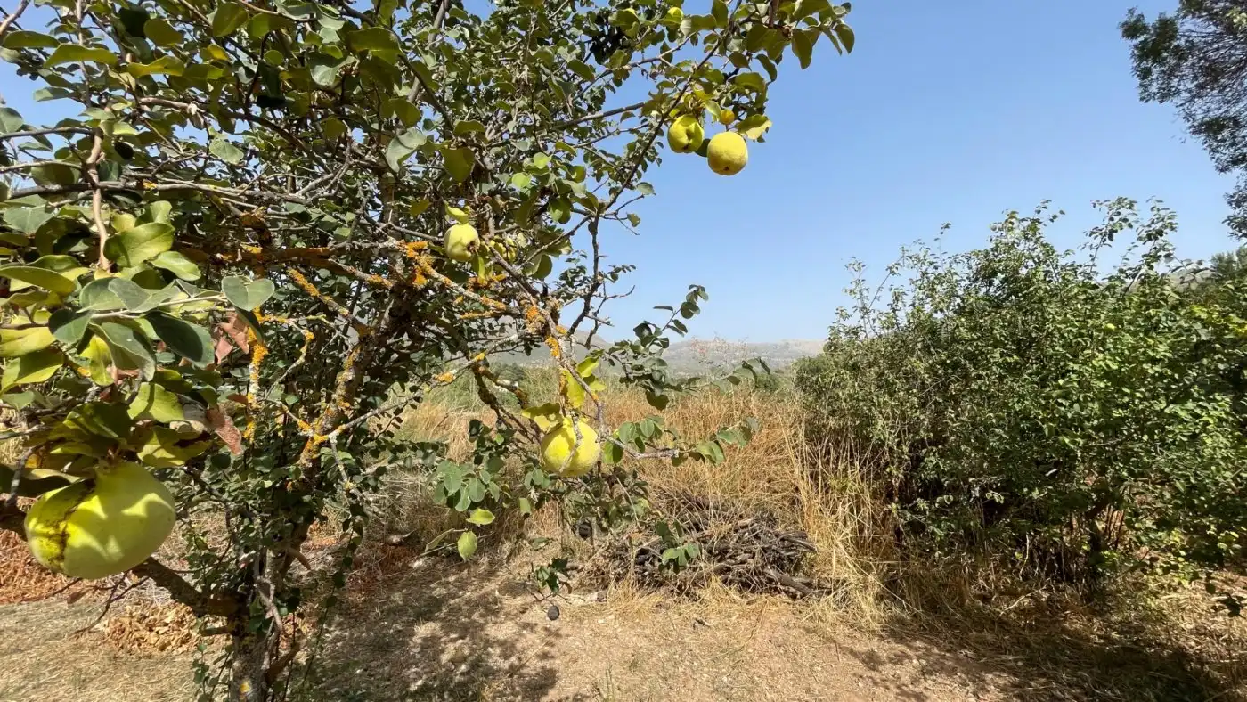 Casa o xalet en venda en Carcabuey amb Calefacció, Jardí privat i Terrassa