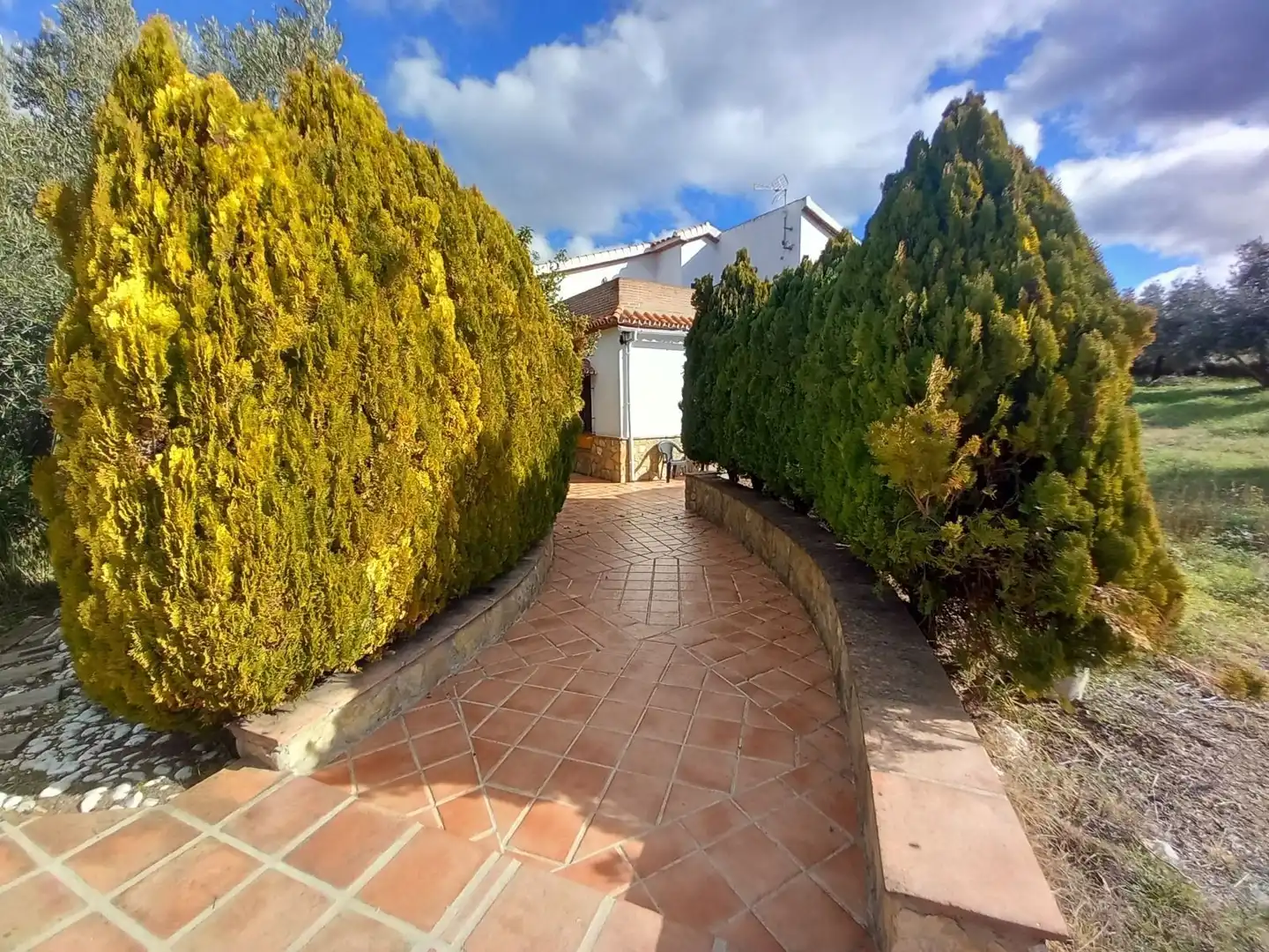 Finca rústica en venta en Arriate