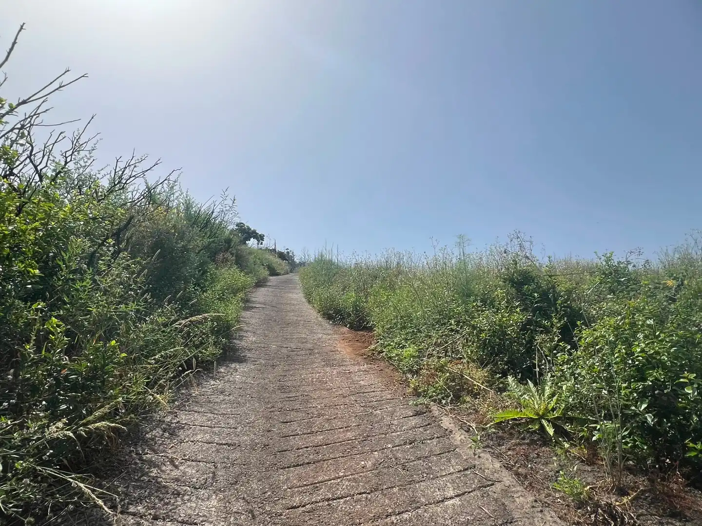 Terreno rústico en venta en Carretera Nueva Corujera, imagen 15