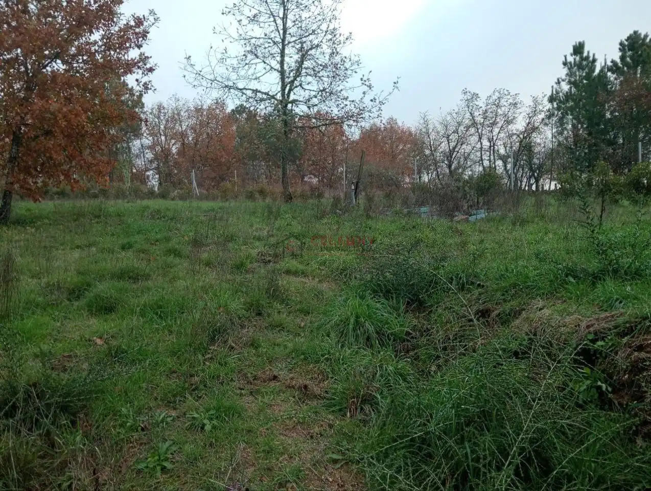 Terreny residencial en venda a San Cibrao das Viñas, imagen 24