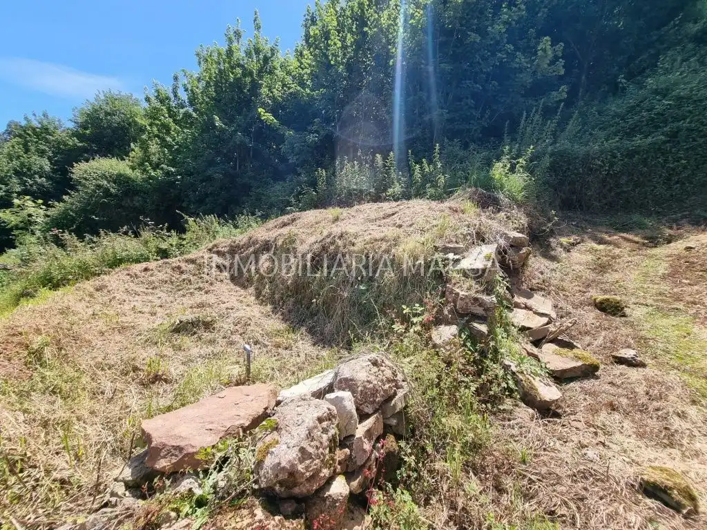 Casa o xalet en venda en Colunga amb Jardí privat