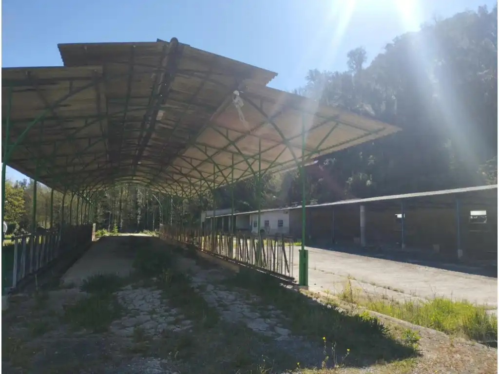 Landhaus zum Verkauf in GI-553, imagen 27