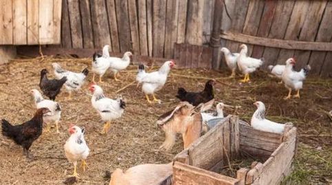 Foto 5 de Finca rústica en venta en Alanís, Sevilla