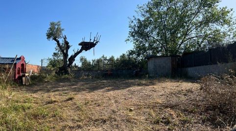 SOLAR EN VENTA CON CASAL DE PIEDRA EN LA SERRA BARONA, imatge 3