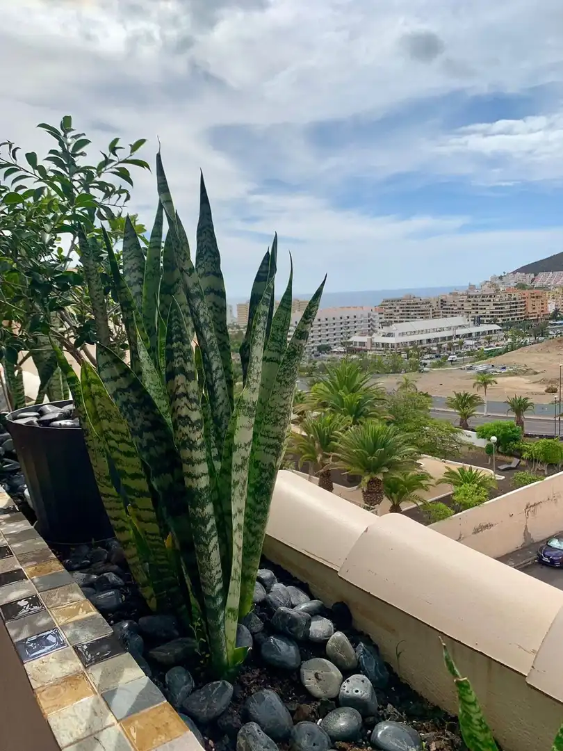 Penthouse with pool for sale in TF-655, imagen 7