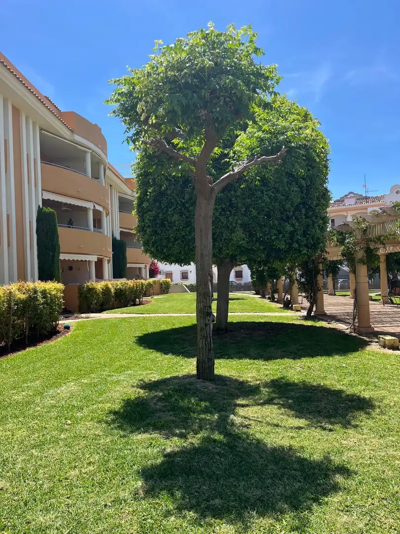 Apartament en venda a MARINES A DENIA LES, Les Bovetes - La Felicidad