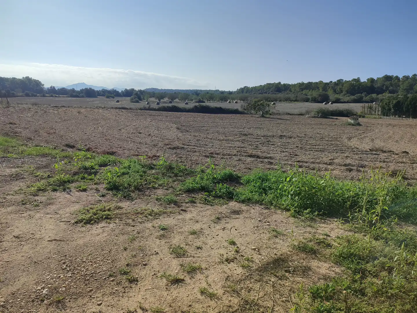 Finca rústica en venda a Sant Joan