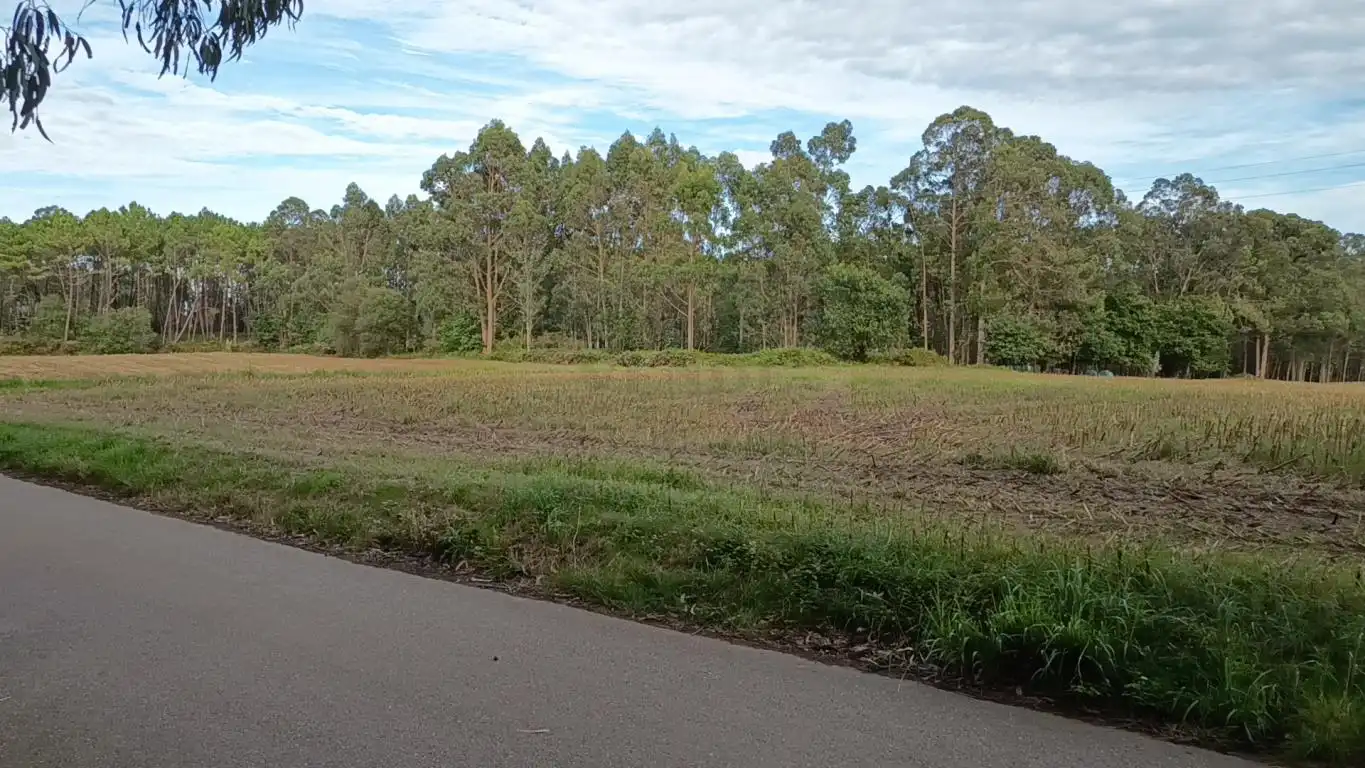 Terreno rústico en venta en Aldea Cabañas, imagen 11