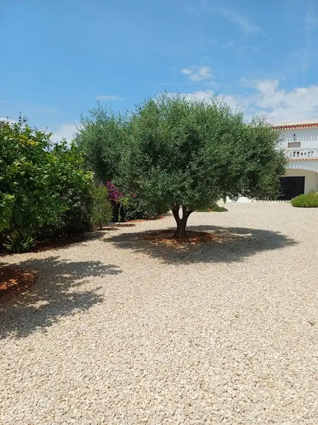 Casa con piscina en venta en Barxeta, imagen 42