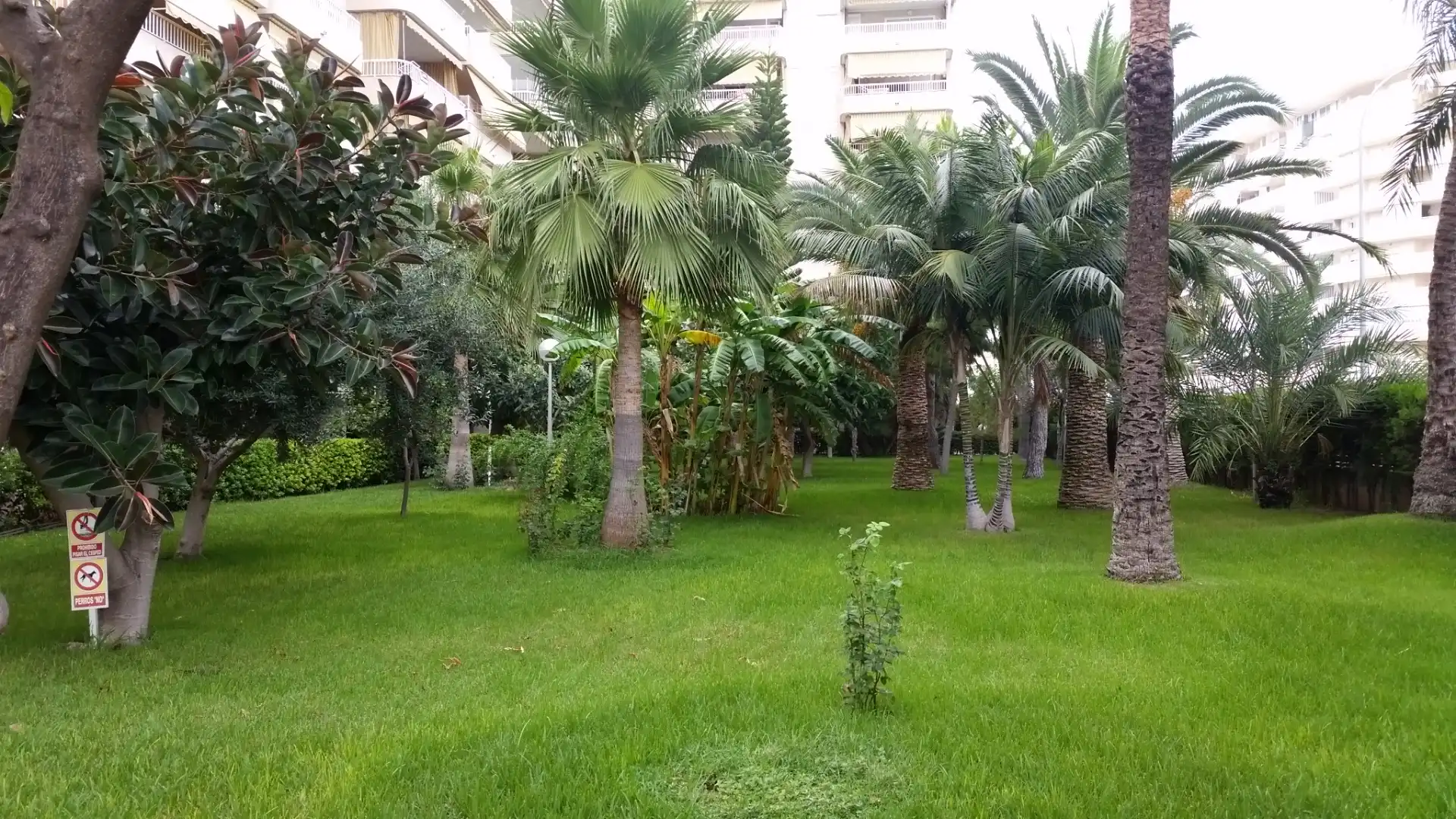 Apartamento con terraza en venta en Carrer del Clot de la Mota 18, imagen 2