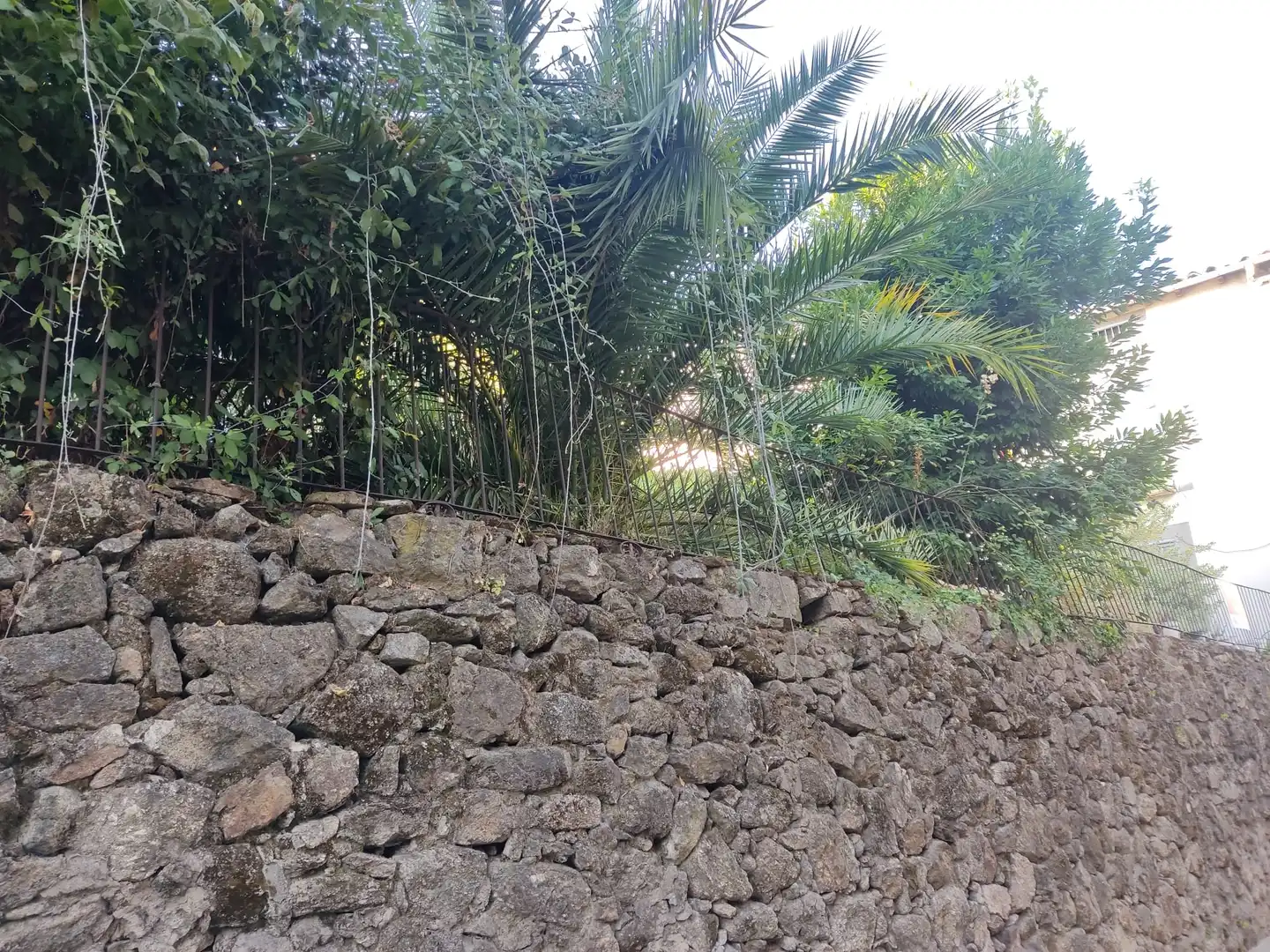 Casa o xalet en venda en Jarandilla de la Vera amb Jardí privat