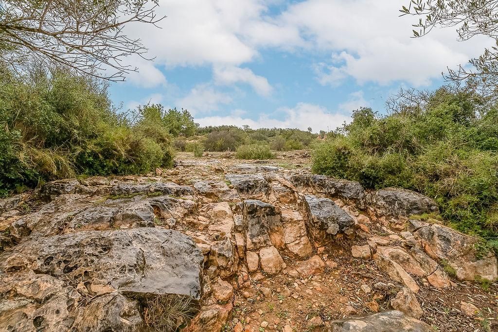Grundstücke zum verkauf in Cheste