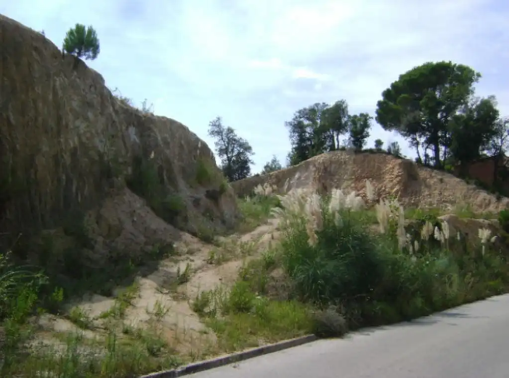 Rural land for sale in c/ avellaner, imagen 3