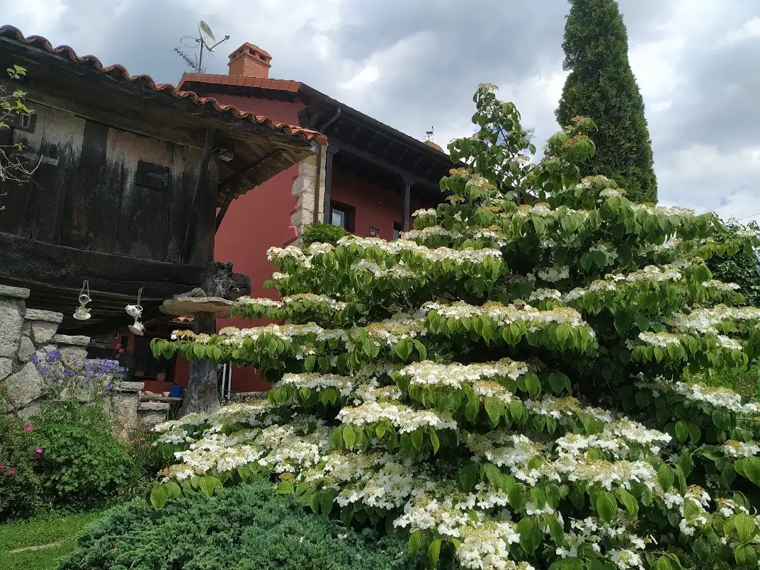 Jardín de Casa o chalet en venta en Nava con Calefacción, Jardín privado y Parquet