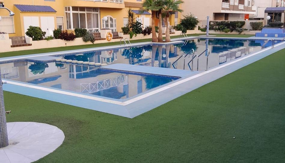 Photo 1 of Apartment to rent in Parque de las Naciones, Alicante