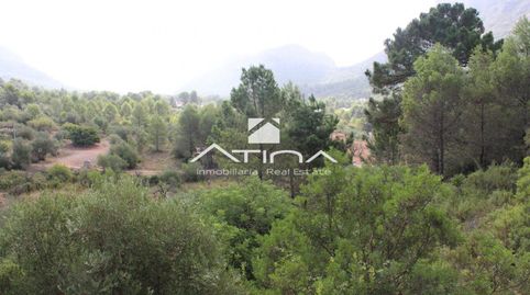 Chalet todeado de naturaleza y vistas abiertas a la Montaña situado en La Drova, imagen 5