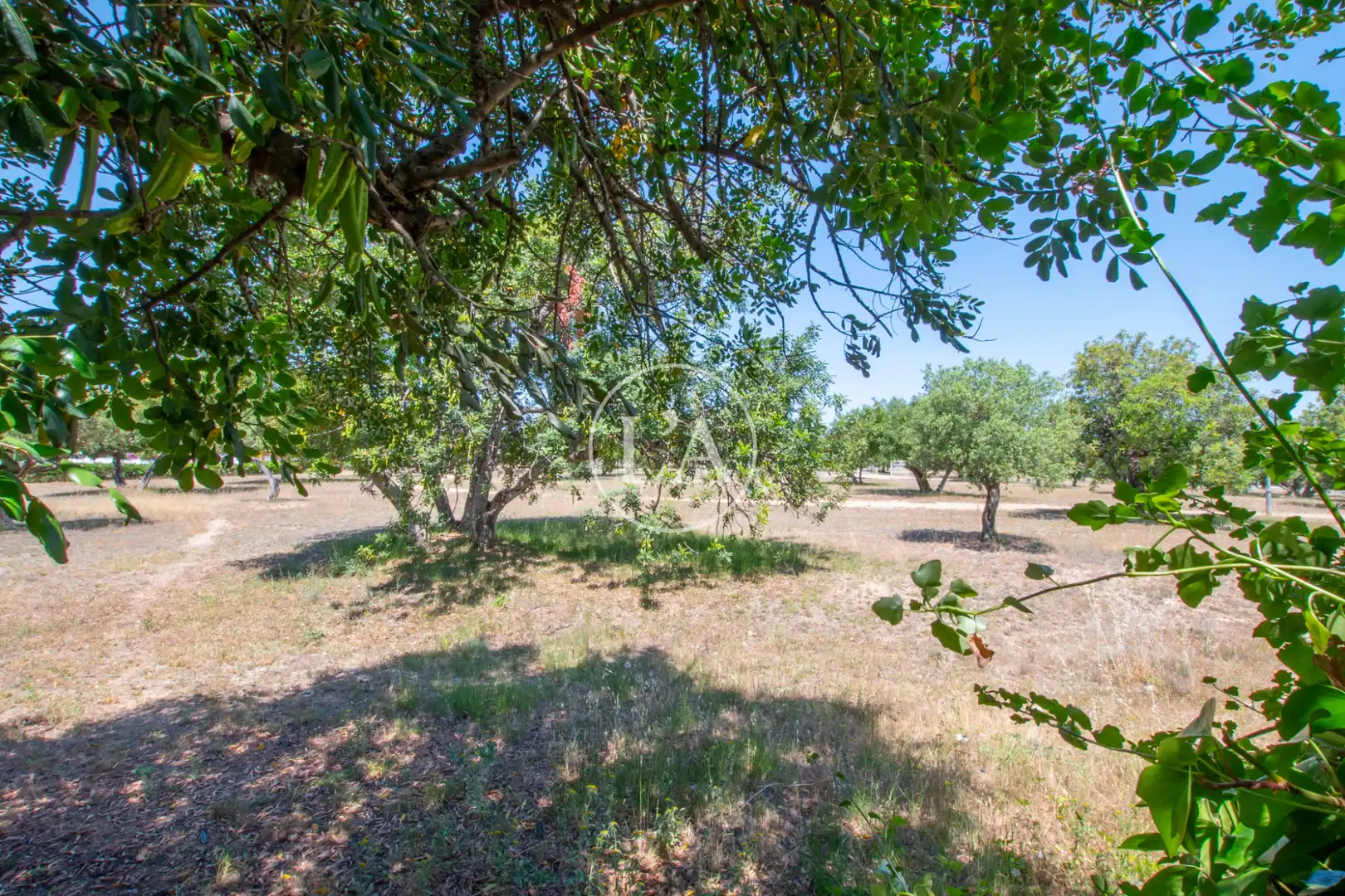 Casa o xalet en venda en Cambrils amb Jardí privat, Terrassa i Traster