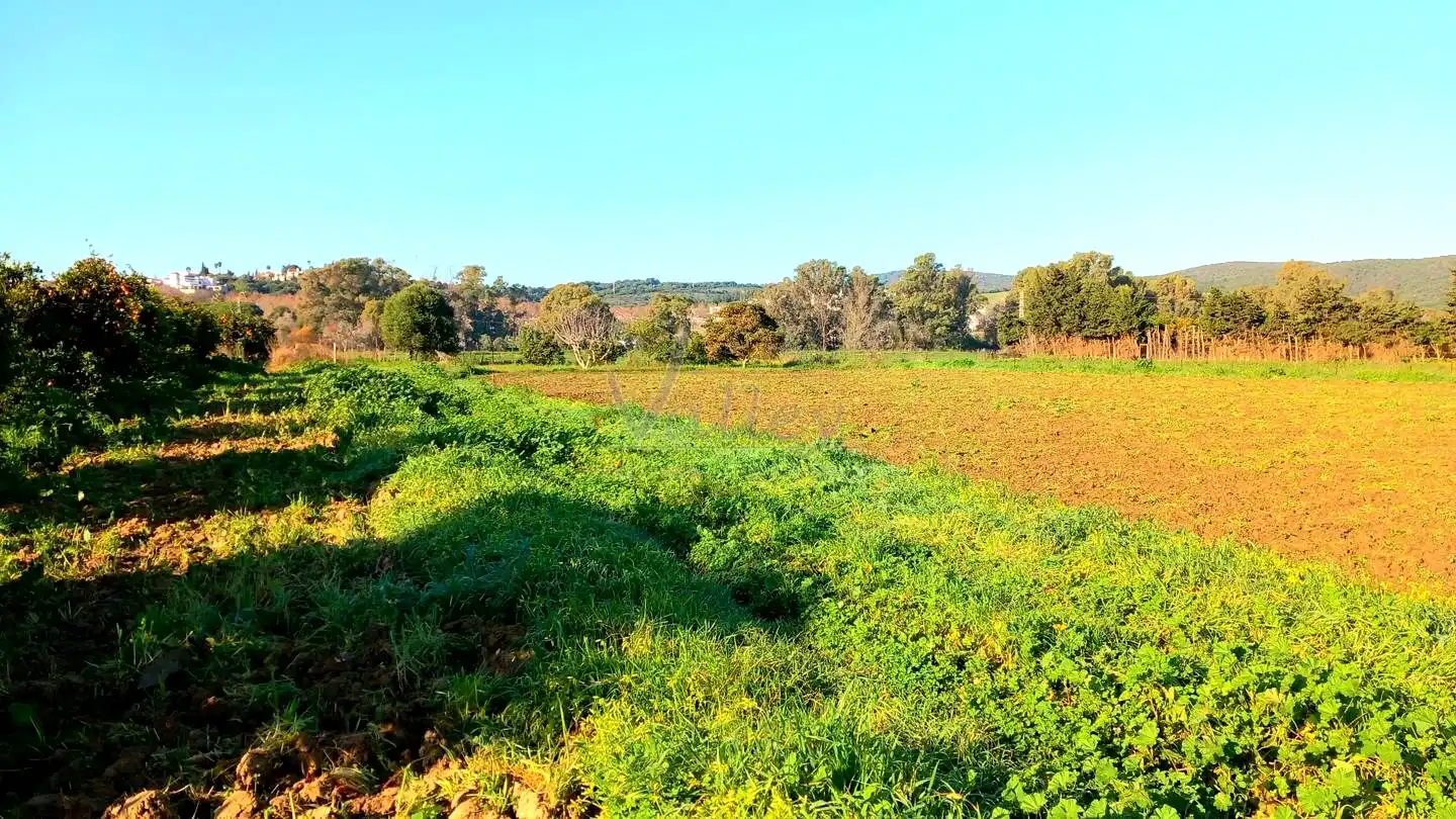 Terreni e lotti in vendita a San Enrique - Guadiaro -  Pueblo Nuevo, imagen 4