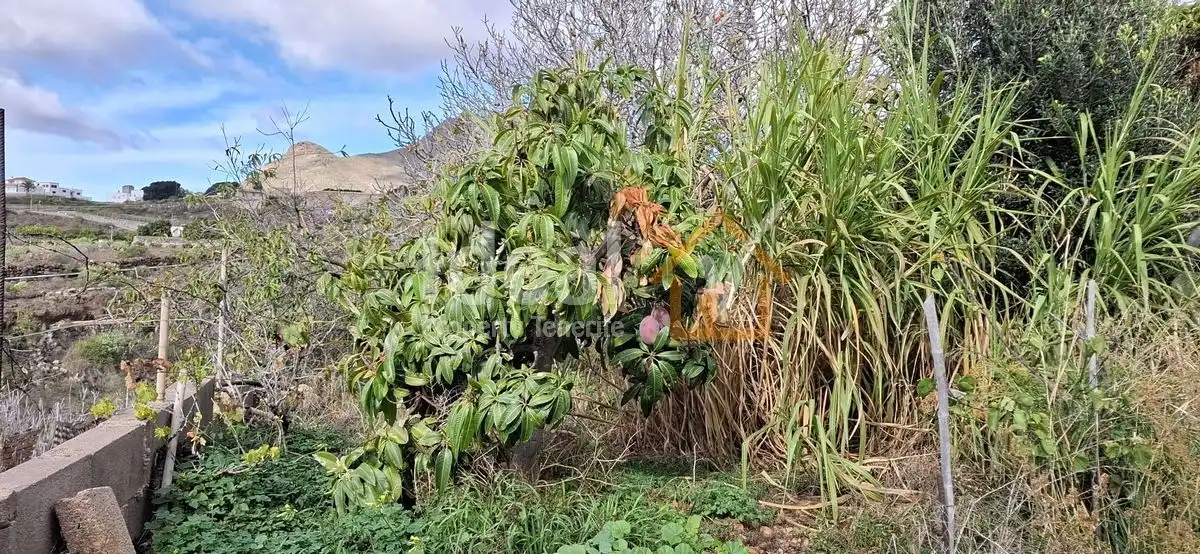 Casa amb jardí en venda a Arona pueblo, imagen 33