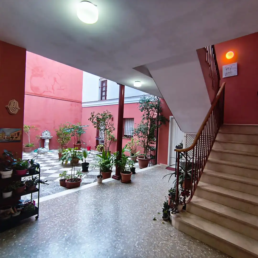 Flat for rent in Centro
