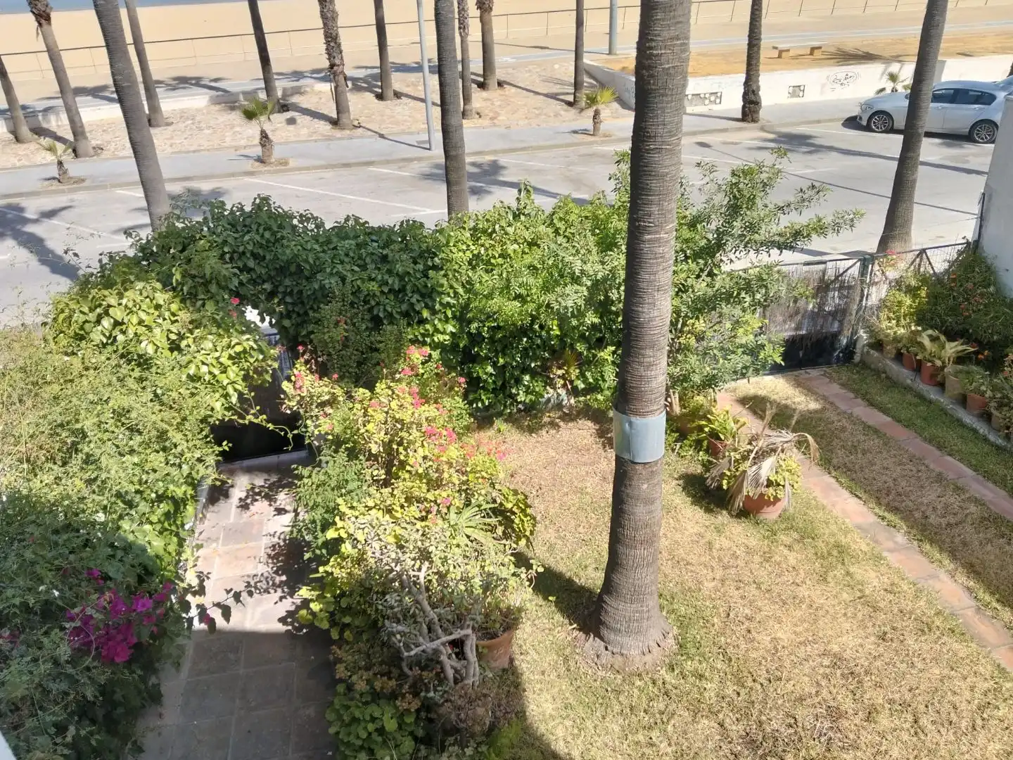 Chalet con jardín en venta en simon de rojas clemente 4, imagen 3