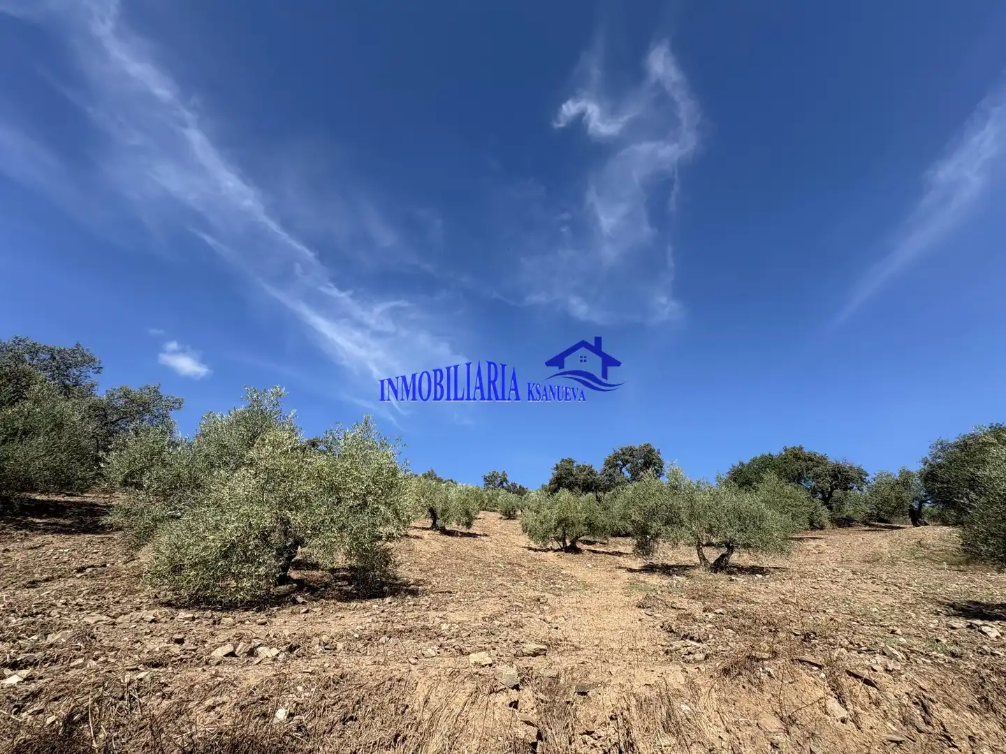 Finca rústica en venta en Montoro con Aire acondicionado, Calefacción y Trastero