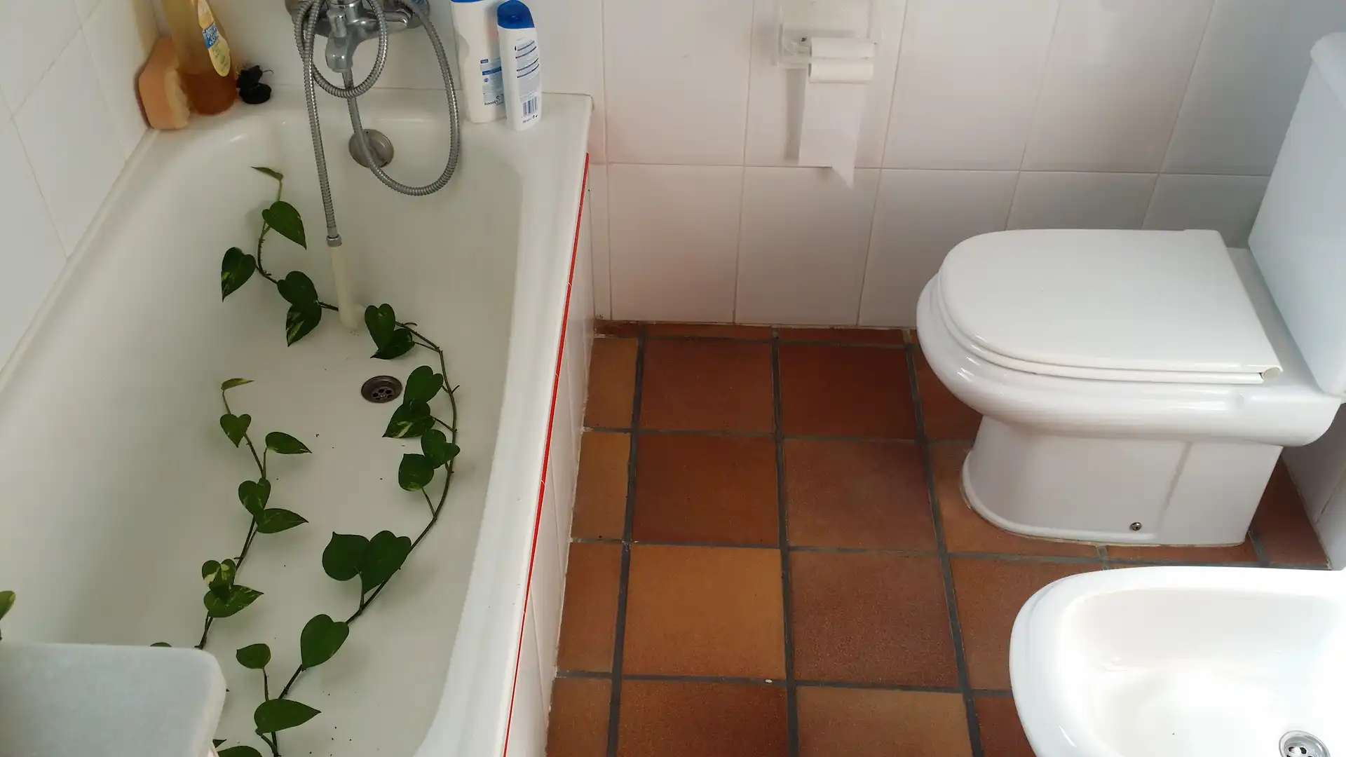 Villa con giardino in vendita a Pedanías Oeste, imagen 17