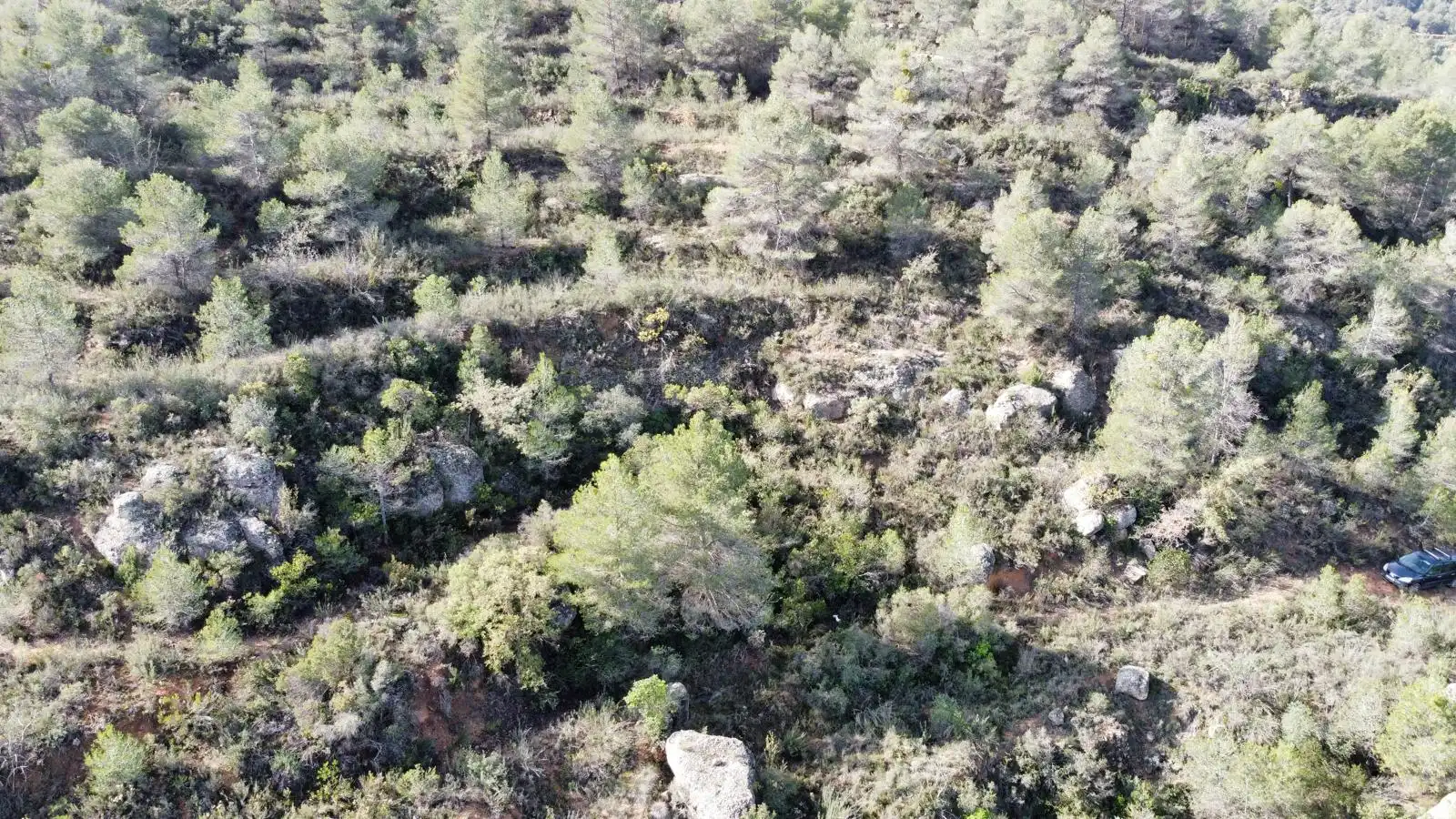 Terreno rustico in vendita a Cervià de Les Garrigues, imagen 15