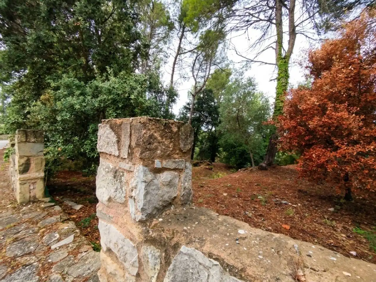 Wohnbaugrundstück zum Verkauf in Calle Montardo, imagen 9