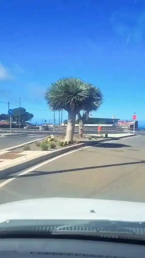 Außenansicht von Fabrik Grundstücke zum Verkauf in Valverde (Santa Cruz de Tenerife)