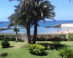 Jardí de Estudi de lloguer en Mogán