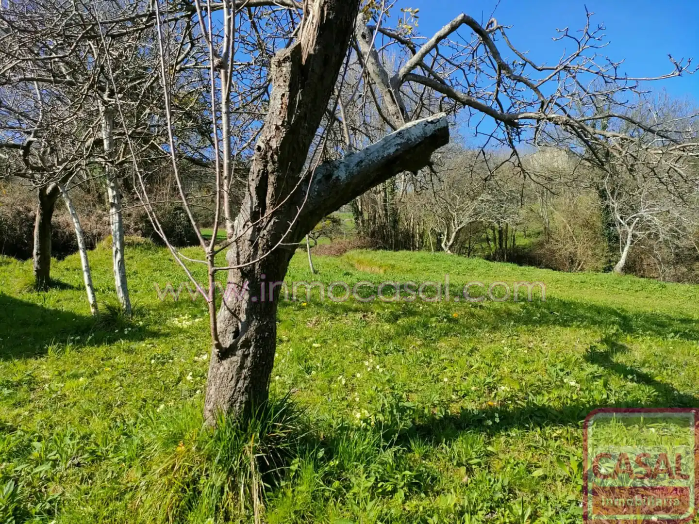 Grundstücke und Bauplätze zum Verkauf in Illas, imagen 3