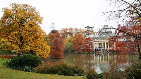 Photo 5 of Premises to rent in Almagro, Madrid