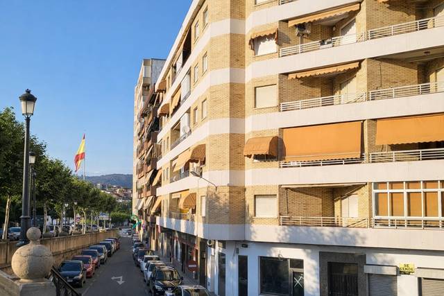 Piso en Venta en Avenida Avenida de Juan Carlos I, 20 en Centro Ciudad