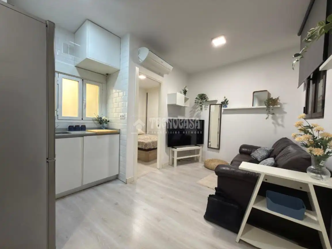Sala de estar de Piso de alquiler en Madrid con Aire acondicionado y Calefacción