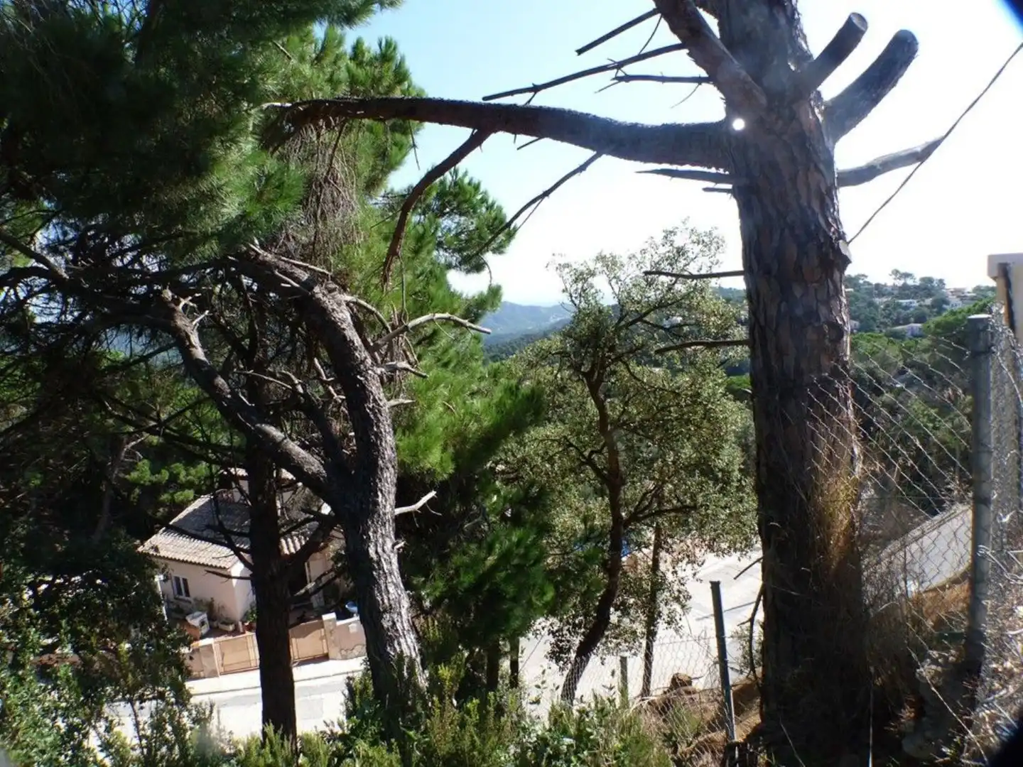 Grundstücke und Bauplätze zum Verkauf in Serra Brava, imagen 7