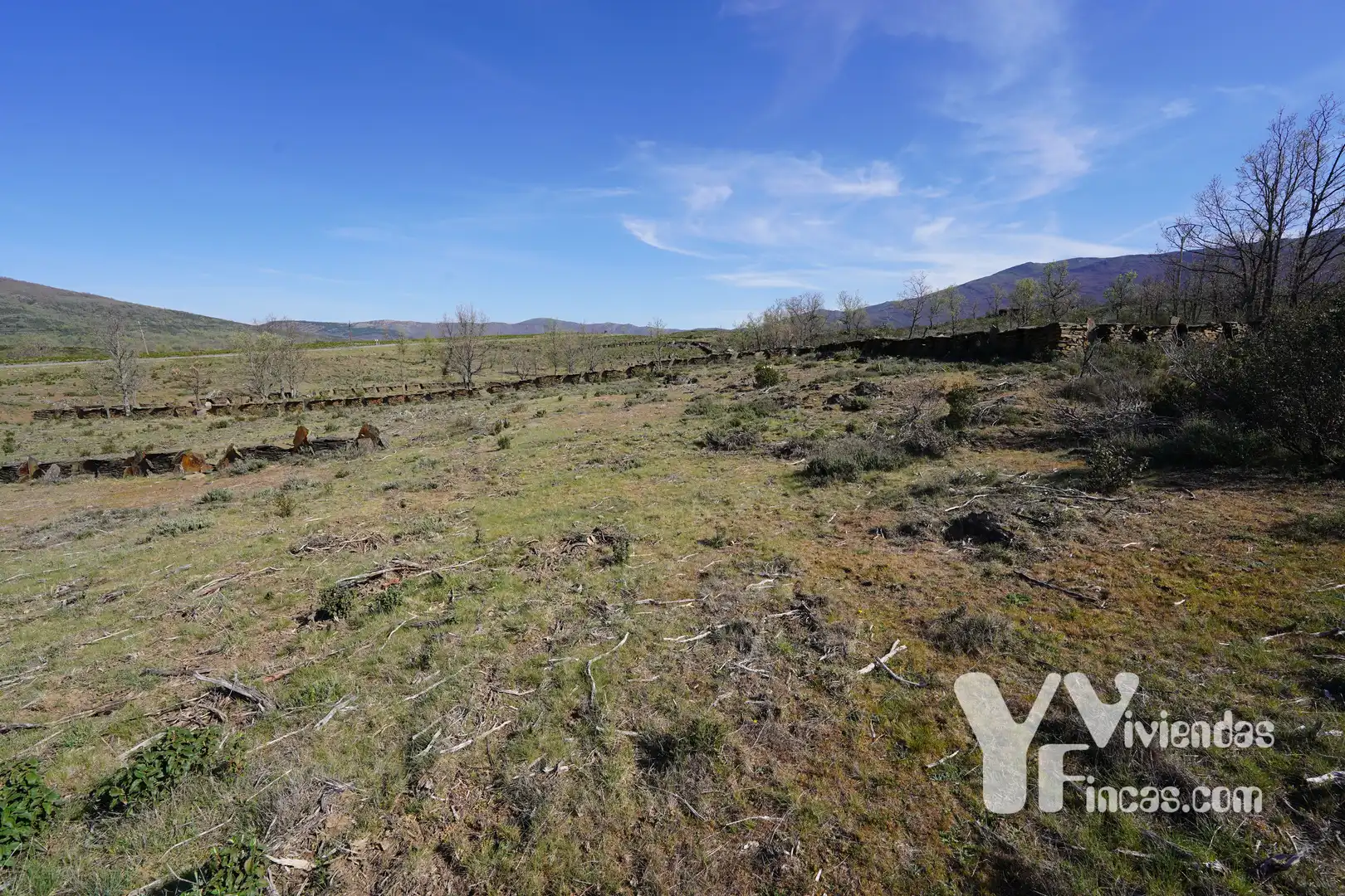 Terreno rústico en venta en Campillo de Ranas, imagen 19
