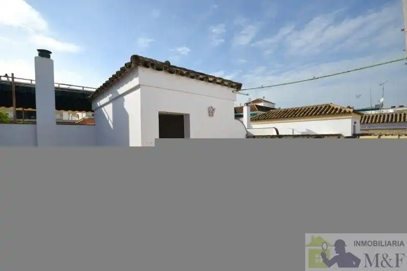 Haus mit Terrasse zum Verkauf in Palma del Río, imagen 6