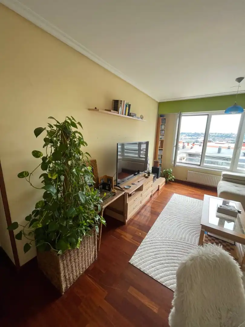 Sala d'estar de Pis en venda en Culleredo amb Calefacció, Parquet i Traster