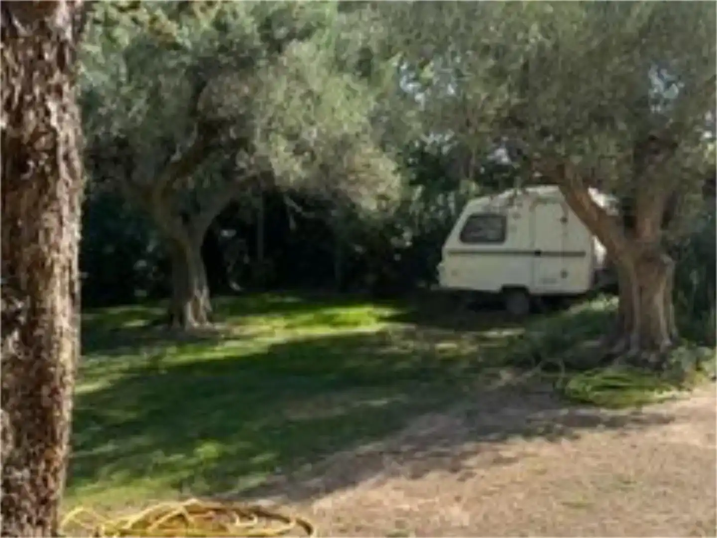 Finca rústica en venda en Pedrola amb Jardí privat, Piscina i Moblat