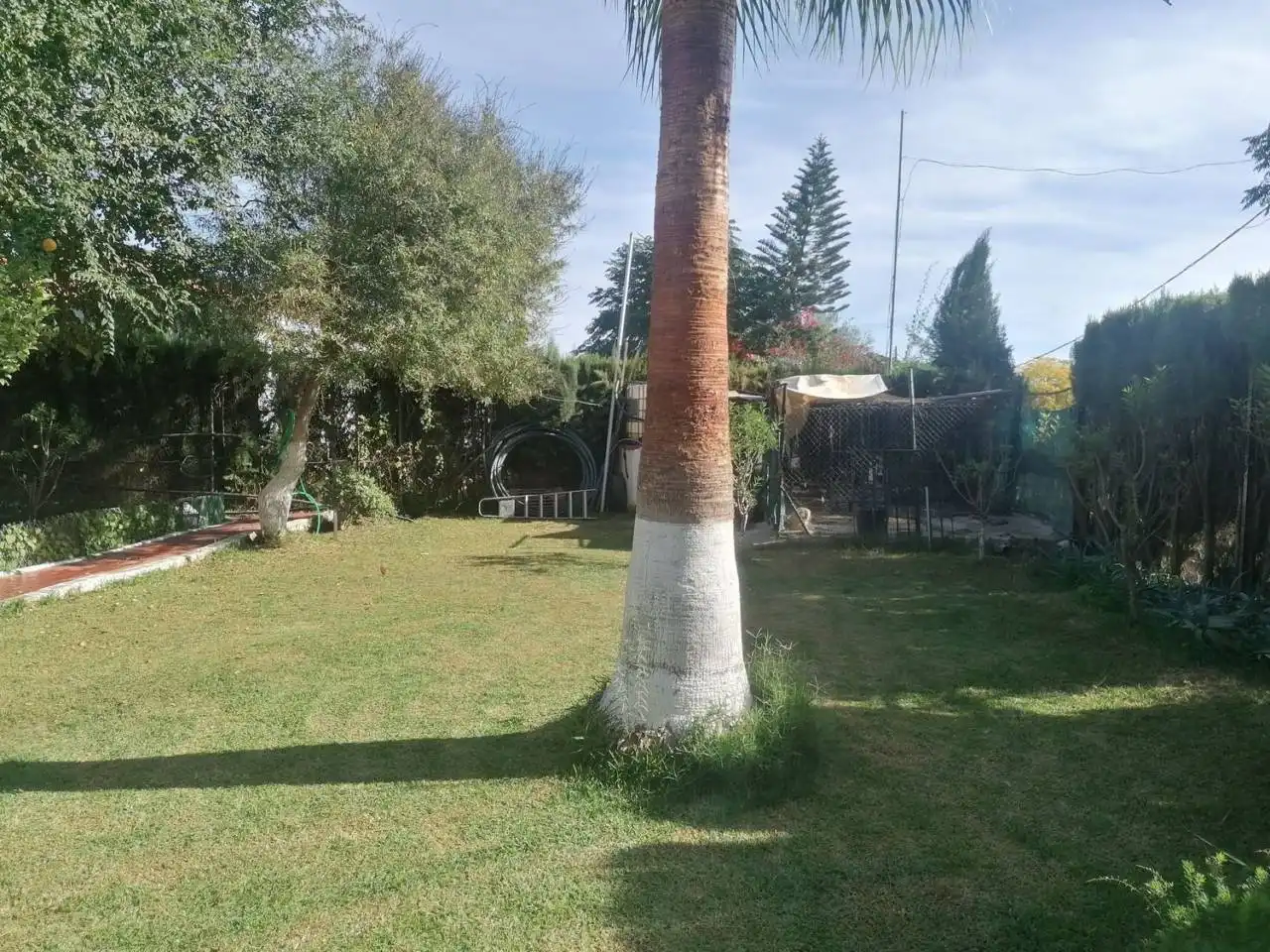 Jardín de Casa o chalet en venta en Carmona con Aire acondicionado, Jardín privado y Terraza