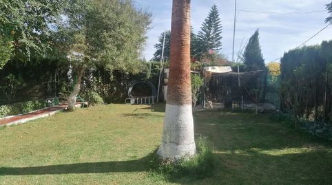 Foto 4 de Casa o chalet en venta en Urb. Pradollano, Carmona, Sevilla