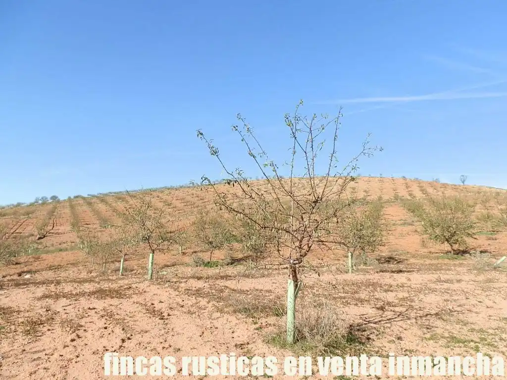 Terreni e lotti in vendita a Montalbo, imagen 19