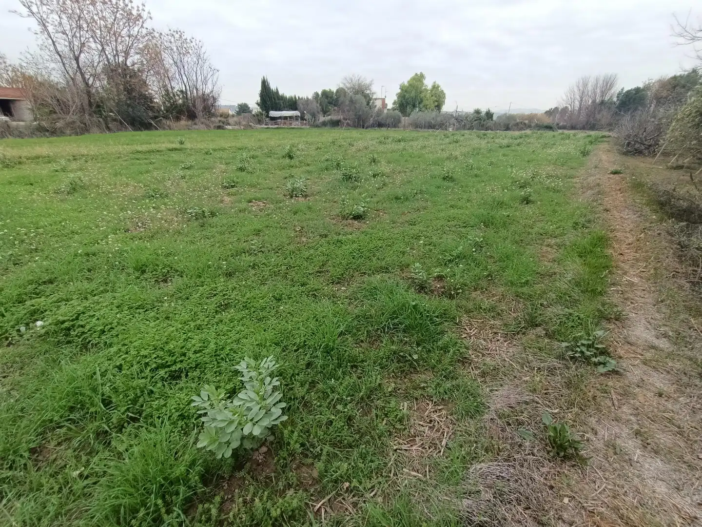 Terreny residencial en venda a Alguazas, imagen 5