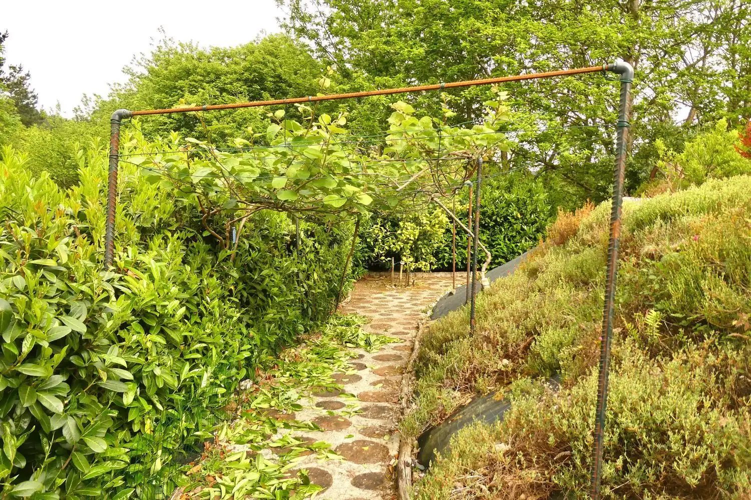 Villa avec jardin à vendre à ferreira, imagen 31