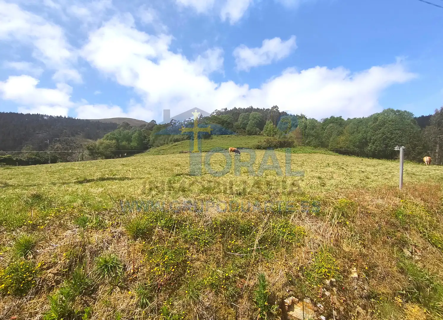 Terreno residenziale in vendita a Lugar Palacion 6, imagen 3