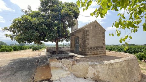 Foto 2 de Finca rústica en venda a Urbanitzacions i Pedanies Sud, Alzira