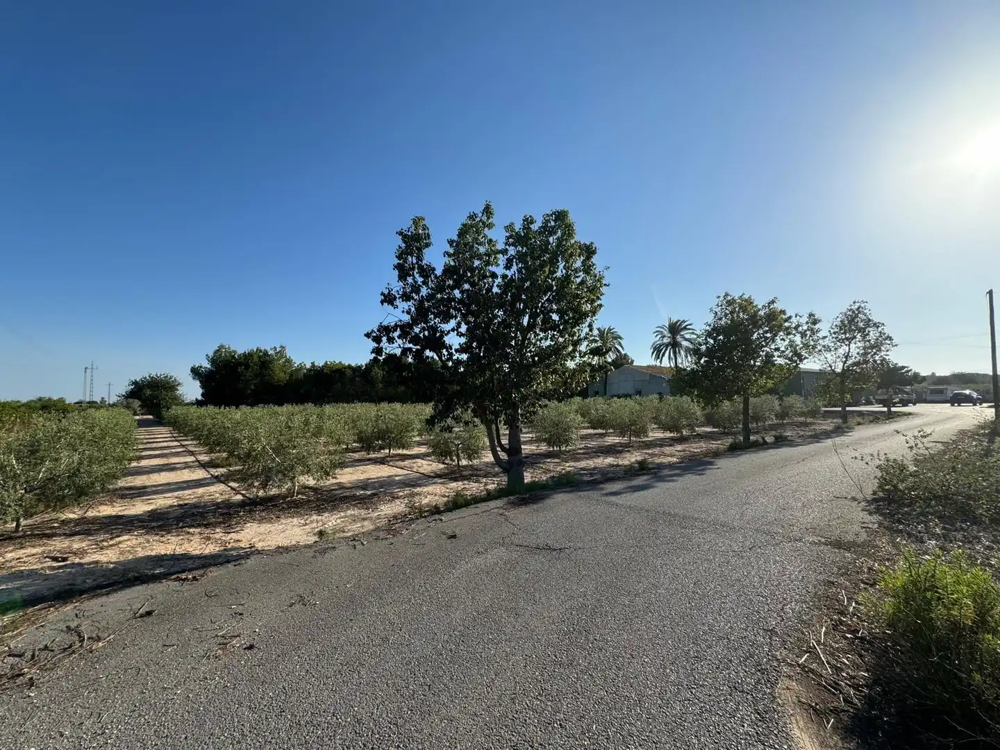 Villa à vendre à Partida Polígono 62 Parcela 80 DAIMES. ELCHE/ELX (ALICANT 62, imagen 47