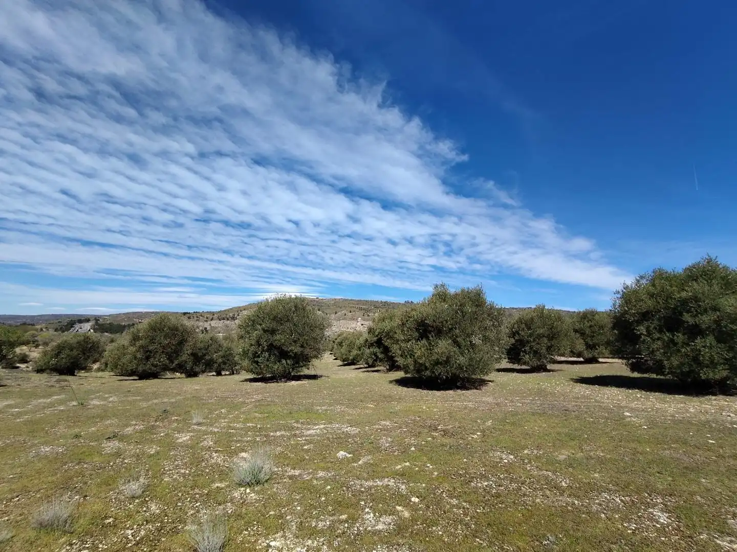 Terreno en venta en Perales de Tajuña