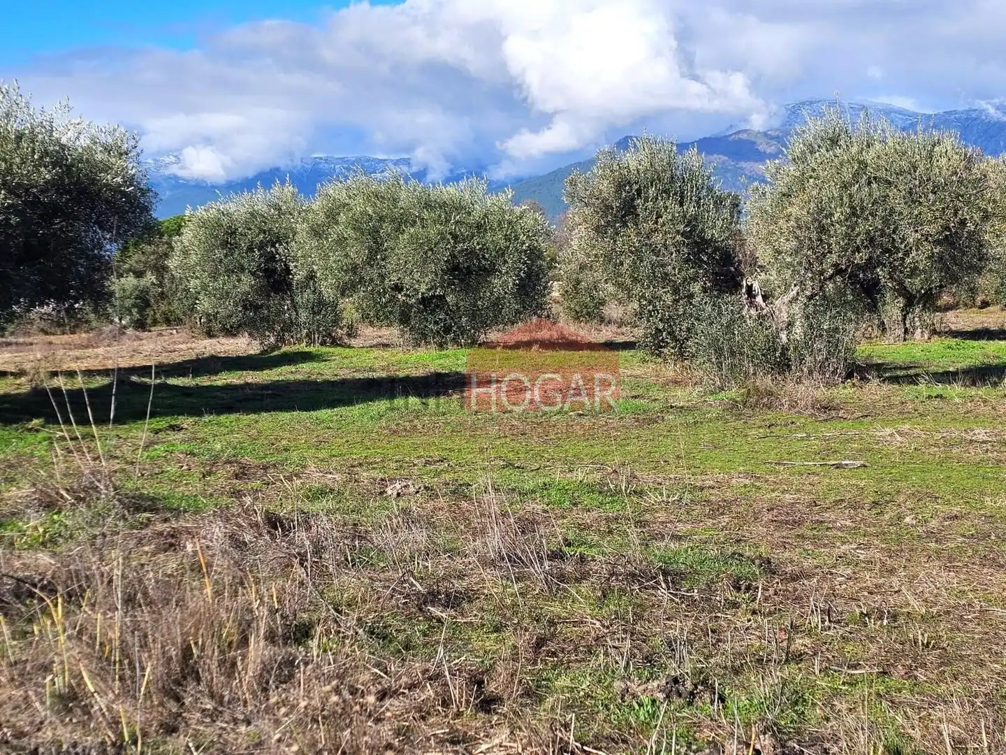 Terreni e lotti in vendita a La Adrada, imagen 12